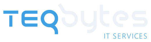 TEQbytes IT Services